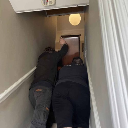 Moving a piano downstairs for recycling